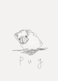 Pug drawing