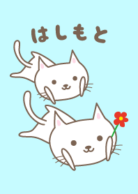 可愛的貓主題為 橋本 或 Hashimoto
