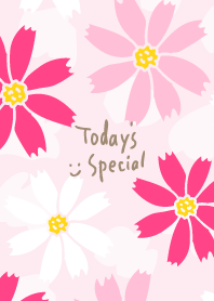 Cute Cosmos25 from Japan