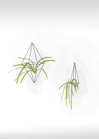 Green Air plants