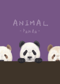 ANIMAL - Panda - ANCIENT PURPLE