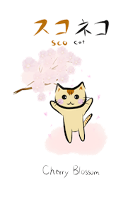 Daily ScoCat Cherry Blossom Ver