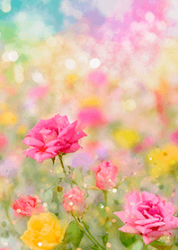 Beautiful rose flower(R5073)