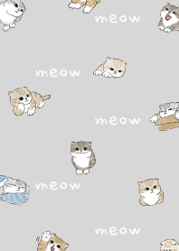 neko combo4 / light grey