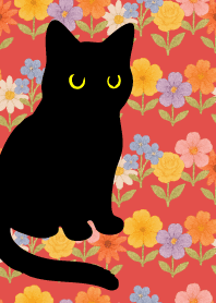 Round Black Cat5 on red