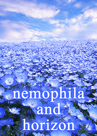 .-*ネモフィラと地平線*-.