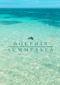 SUMMER SEA -DOLPHIN- 6