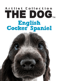 THE DOG English Cocker Spaniel