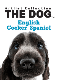THE DOGイングリッシュコッカースパニエル