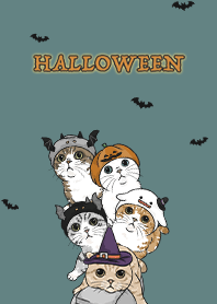 meow's halloween2 / dark cadet blue