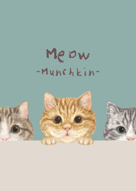 Meow - Munchkin - BLUE GREEN