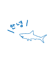 KOREA SHARK / blue