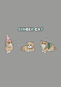 gingercat8 - dim grey