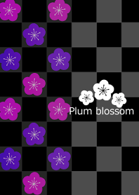 Plum blossom -Magenta-