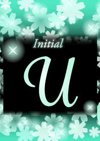 【U】イニシャル❤️お花-ミント×黒-
