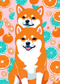 微笑の犬犬 柴犬 gvgJe