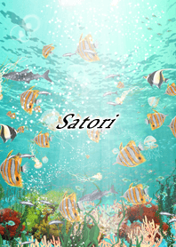 Satori Coral & tropical fish2