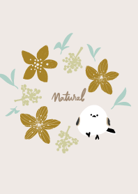 Long-tailed tit lily7 from Japan