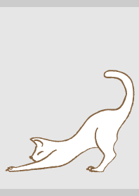 Stretching cat on gray