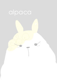 Alpaca animal