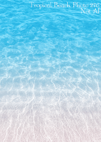 Tropical Beach Photo 276 Not AI