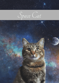 Space Cat2 on white