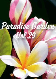 PARADISE GARDEN Vol.29