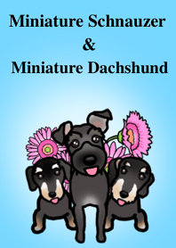 あちゃさんちの仲良しファミリー