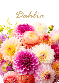 "Dahlia vol.1" theme