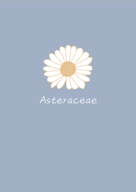 Send you a white daisy