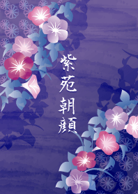 紫苑朝顔