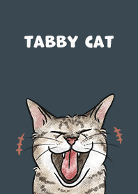 tabbycat4 / dark indigo
