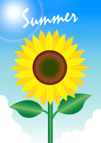 Summer sunflower sunshine