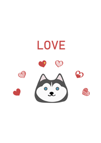 Cute husky-love