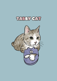 tabbycat6 / water blue .jp