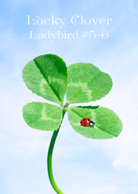 Lucky Clover Ladybird #5-6