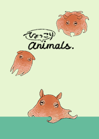 Peep animals[flapjack octopus]