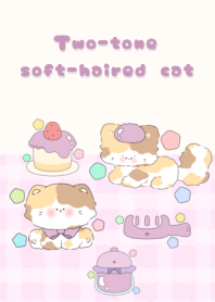 Two-tone soft-haired cat2