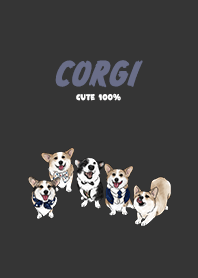 corgicorgi4 - black