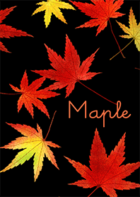 Maple -Autumn night-