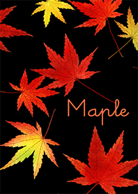 Bord -Noite de outono-