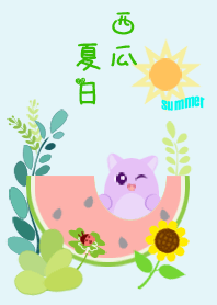 the summer of watermelon