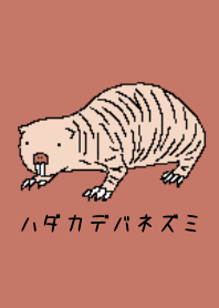 Mostly mole rat ?