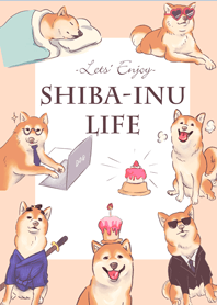 Everyday funny shiba inu