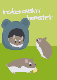 Roborovski hamster's daily life