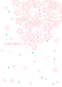 さくら＊桜