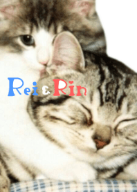 rei&rin