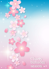 Cherry blossom season [Blue]