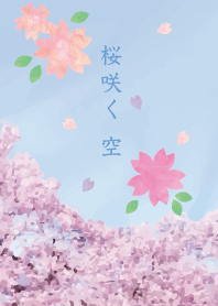 The spring cherry tree and sky
