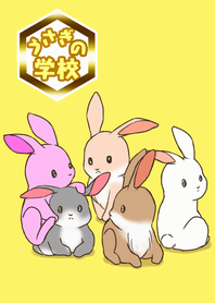 うさぎの学校